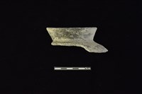 陶罐藏品圖，第1張